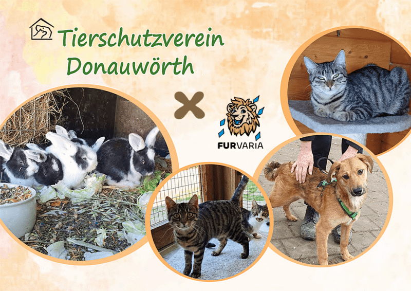 charity_furvaria_post2026